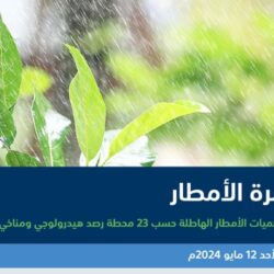 القبض على مقيمين بمكة لنشرهما إعلانات حملات حج وهمية ومضللة بتوفير سكن للحجاج بغرض النصب والاحتيال