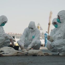 القبض على مقيم لارتكابه أفعالًا مخلة بالآداب العامة وسلوكيات خادشة للحياء وذات إيحاءات جنسية