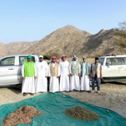 المملكة تدعم عمليات الإنزال الجوي الأردني لإغاثة الشعب الفلسطيني في قطاع غزة عبر مركز الملك سلمان للإغاثة
