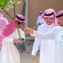 “الزكاة والضريبة والجمارك” تعتمد اشتراطات الإعفاء للأسواق الحرة في صالات القدوم بجميع المنافذ الجمركية