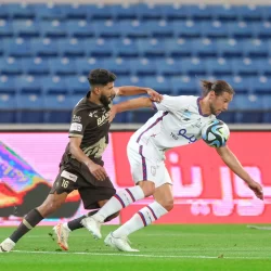 محمية الإمام تركي بن عبدالله الملكية تُعلن انطلاق الموسم الثالث للنحَّالين 2024