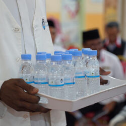 انطلاق مهرجان المانجو الـ13 بالقنفذة الثلاثاء القادم