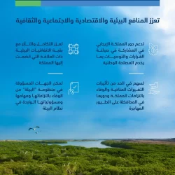 البنك المركزي يطرح “قواعد ممارسة نشاط التمويل الجماعي بالدين” المحدثة لطلب مرئيات العموم