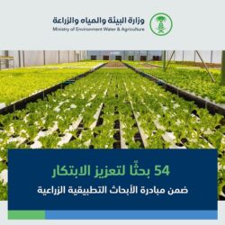 وزارة الصناعة والثروة المعدنية تصدر 20 رخصة تعدينية جديدة خلال شهر فبراير 2024