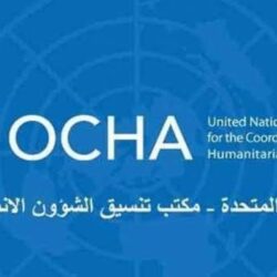 “المرور” يطرح المزاد الإلكتروني للوحات المميزة