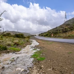 المتحدث باسم رئاسة أمن الدولة: ما يربطنا بوطننا ليس واجبًا أخلاقيًا وسياسيًا فحسب بل رابطة عقدية دينية