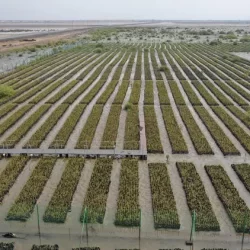 القصبي يختتم زيارته لمملكة تايلند ويؤكد أهمية تعزيز التبادل التجاري والاستفادة من الفرص في القطاعات الواعدة