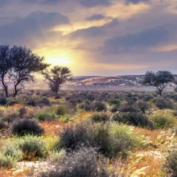 أكثر من 400 مليون سلعة تموينية صعدتها “وزارة التجارة” لضيوف الرحمن خلال موسم الحج