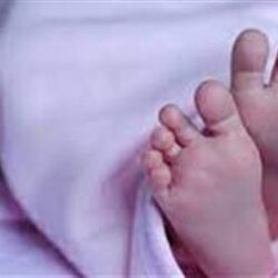 “تعليم مكة” يخصص 70 مبنى مدرسياً للجهات المشاركة في حج هذا العام 1445 هـ