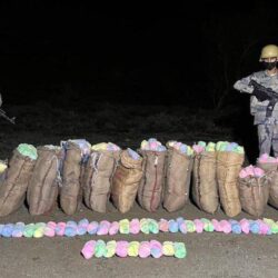 محافظ الطائف يطلق جائزة سموه للتميز التعليمي