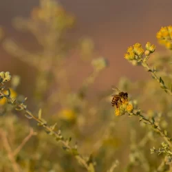 “هيئة النقل” تعتمد عددًا من الدورات البحرية التخصصية لمعهد أزدة للتدريب البحري