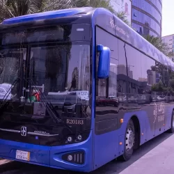 “الغطاء النباتي”: زراعة نحو 6 ملايين شجرة وشجيرة في 120 فيضة وروضة بالمملكة