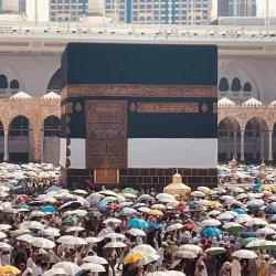 هيئة الطرق: الخط المدني يُزيّن طرق المدينة المنورة