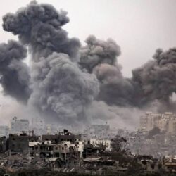 أسواق المدينة المنورة تستقبل رُطب النخيل