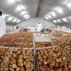 الاحتلال الإسرائيلي يكثّف عمليات القصف على مدينة رفح