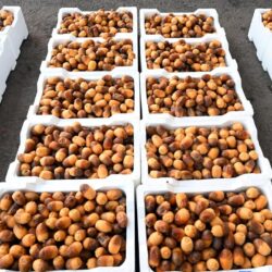 وزير الصناعة والثروة المعدنية يرأس وفد المملكة في أعمال الدورة الـ 28 للجمعية العامة للمنظمة العربية للتنمية الصناعية بالمغرب