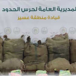 “بيئة القنفذة”  تشارك في فعاليات اليوم العالمي للبيئة