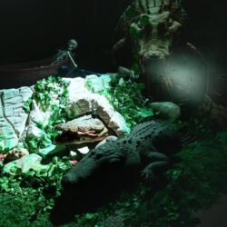 شباب أخضر اليد يتجاوزون هونغ كونغ ويتأهبون لمواجهة البحرين في آسيوية اليد