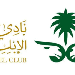 كأس العالم للرياضات الإلكترونية .. إسدال الستار عن بطولتي “كاونتر سترايك 2″ و”دوتا 2 – الرياض ماسترز”