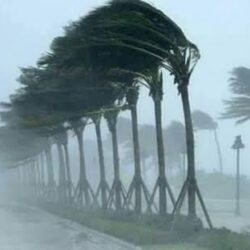 “المياه الوطنية”: تنفيذ 14 مشروعًا مائيًا وبيئيًا في منطقة القصيم بأكثر من 561 مليون ريال