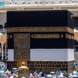 حديقة الدانة في بلجرشي تجذب أهالي وزوار المنطقة