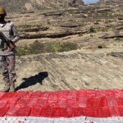 بـ 400 ألف ريال .. بيع أغلى صقر في منصة المزاد الدولي لمزارع إنتاج الصقور لهذا العام 2024