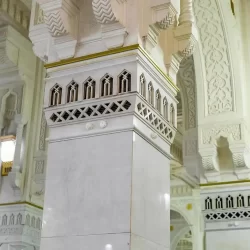 القوات الخاصة للأمن البيئي تضبط مخالفًا لنظام البيئة لإشعاله النار في أراضي الغطاء النباتي بمنطقة عسير