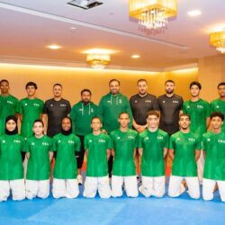 ضبط 3 مقيمين لترويجهم الحشيش في عسير