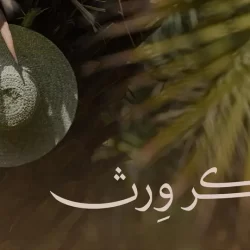 جامعة الباحة تعلن نتائج القبول في 16 برنامجًا للماجستير