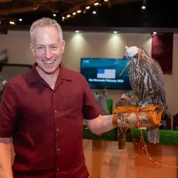 بـ 400 ألف ريال .. بيع أغلى صقر في منصة المزاد الدولي لمزارع إنتاج الصقور لهذا العام 2024