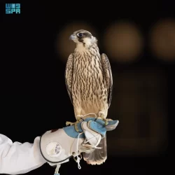 القوات الخاصة للأمن البيئي تضبط مقيمين مخالفين لنظام البيئة لاستغلالهما الرواسب في منطقة المدينة المنورة