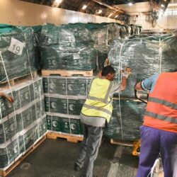 ارتفاع أسعار الذهب في المعاملات الفورية