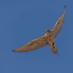 معرض الوحي يُضفي أجواء إيمانية ضمن “فعاليات إجازة الخريف” بحي حراء الثقافي