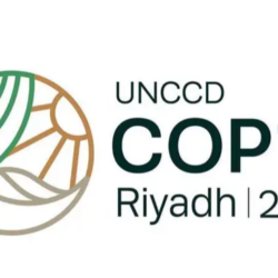 وزارة الصناعة تصدر أكثر من 43 ألف “شهادة منشأ” في شهر أكتوبر الماضي