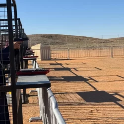 “المساحة الجيولوجية” تحصل على عضوية المركز الدولي للزلازل ومشاركة البيانات الزلزالية