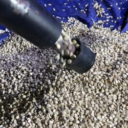 “بيئة مكة”: 40 بئرًا تم ردمها خلال عام للمحافظة على مخزون المياه الجوفية