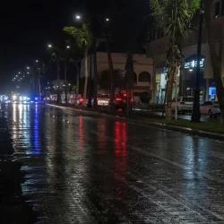 القوات الخاصة للأمن البيئي تضبط مقيمين مخالفين لنظام البيئة لاستغلالهما الرواسب في منطقة المدينة المنورة