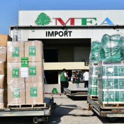 “الأمن الغذائي”: صرف (363) مليون ريال مستحقات الدفعة الخامسة لمزارعي القمح المحلي