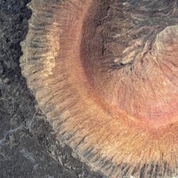 صالح الشهري: انتصار مهم للاتحاد وآمال كبيرة مع رينارد في مونديال 2026