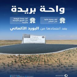 “موانئ” تجتمع مع كبرى شركات سفن التغذية لتعزيز ربط المملكة بموانئ العالم