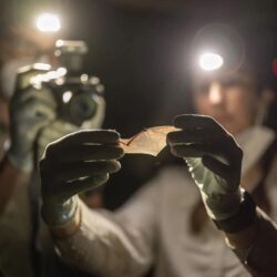 اكتمال وصول الدفعة الأولى من ضيوف برنامج خادم الحرمين الشريفين للعمرة والزيارة إلى المدينة المنورة