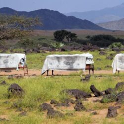 هيئة الطيران المدني: إستراتيجية القطاع تُركز على تطوير القدرات المحلية وتمكين الكوادر الوطنية