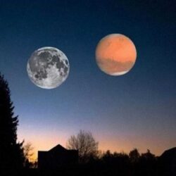 هيئة “التجارة الخارجية” تعلن فرض رسوم نهائية لمكافحة الإغراق على واردات نسج أو أقمشة مغطاة بمادة البولي فينيل كلوريد (PVC) من الصين وكوريا