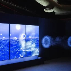 استشهاد فلسطينيين في قصف إسرائيلي على مدرسة تؤوي نازحين بمدينة غزة