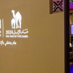 نائب وزير الخارجية يلتقي نائب وزير خارجية مصر