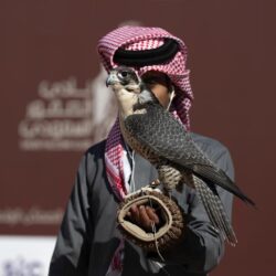 ” مبادرة عام الإبل 2024 ” تُشارك في فعاليات معرض جدة للكتاب بجناح ثقافي