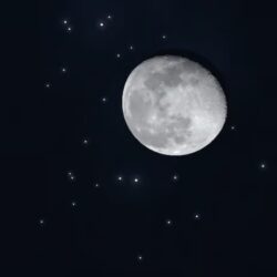 “جمعية الورد والنباتات العطرية” في زيارة لجامعة الطائف