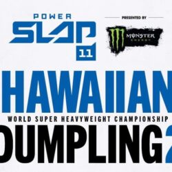 مهرجان “الحنيذ” بمحايل عسير يواصل فعالياته وسط حضور لافت للزوار والسياح