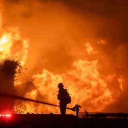 إحباط تهريب (140) كيلوجرامًا من نبات القات المخدر