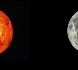 انطلاق فعاليات موسم الحمضيات في محافظة العُلا